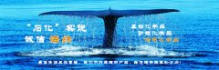 “石化”实说  诚信海纳    cippe上海石化展8月上海举行